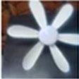 Foto enviada pelo cliente